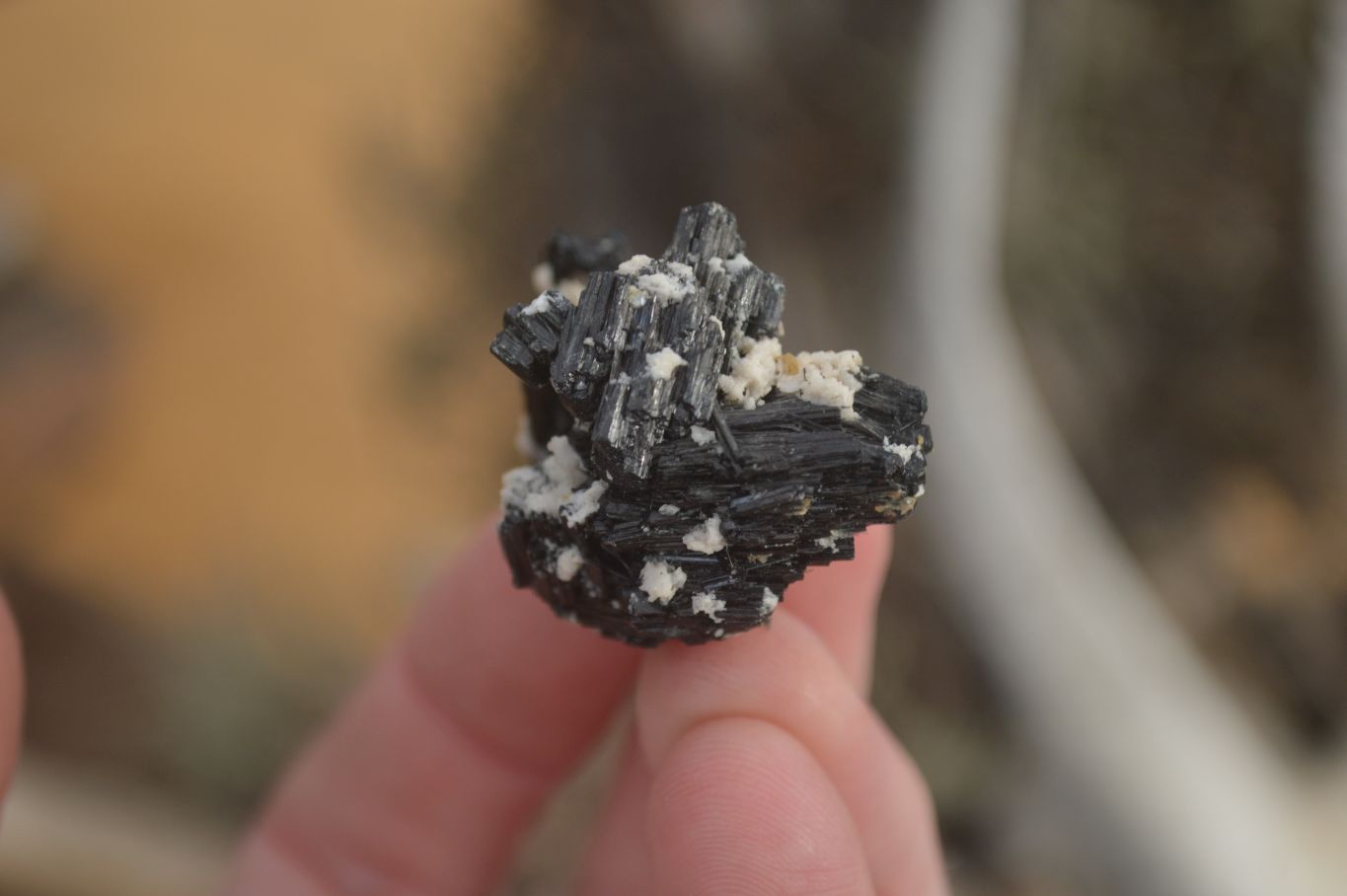Natural Small Schorl Black Tourmaline Specimens x 70 From Erongo, Namibia - Toprock Gemstones and Minerals 