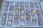 Natural Small Mixed Spirit Quartz Crystals & Clusters  x 35 From Boekenhouthoek, South Africa - Toprock Gemstones and Minerals 
