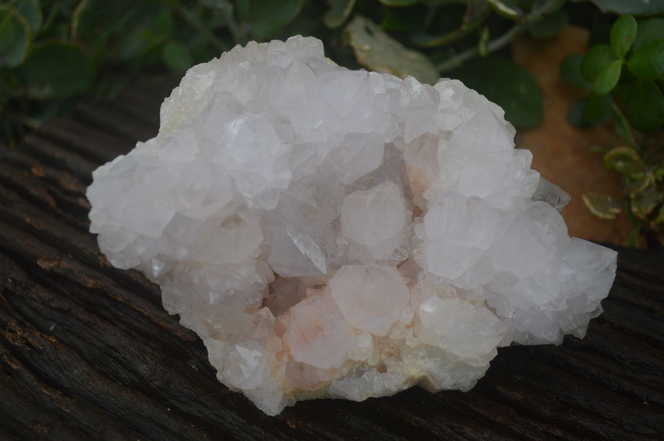 Natural White Spirit Cactus Quartz Clusters  x 2 From Boekenhouthoek, South Africa - Toprock Gemstones and Minerals 