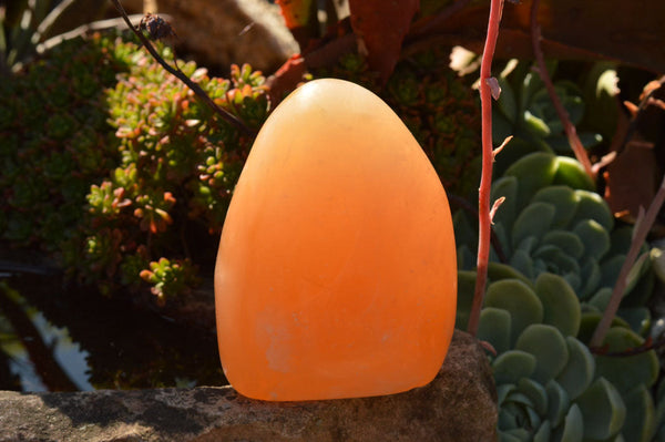 Polished Orange Twist Calcite Standing Free Forms  x 2 From Madagascar - TopRock