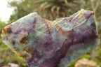 Polished Semi Translucent Watermelon Fluorite Slices x 2 From Uis, Namibia - TopRock