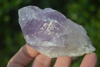 Natural Jacaranda Amethyst Single Crystal Specimens x 12 From Mumbwe, Zambia - Toprock Gemstones and Minerals 