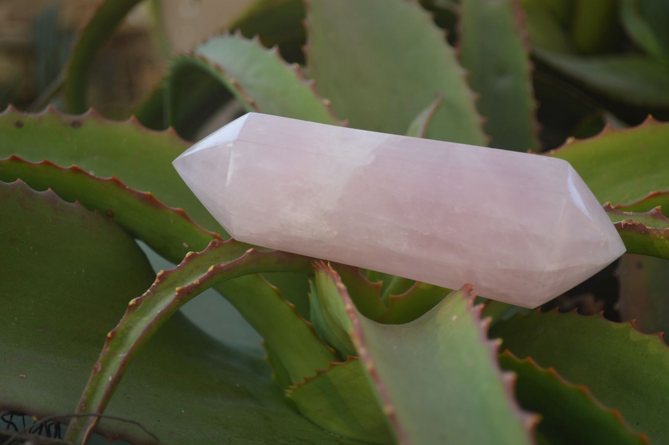 Polished Gemmy Double Terminated Rose Quartz Points x 4 From Ambatondrazaka, Madagascar - Toprock Gemstones and Minerals 