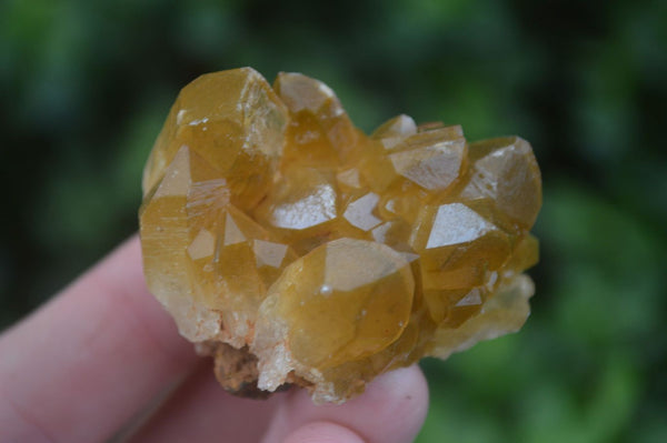 Natural Small Golden Limonite / Lemonite Quartz Clusters  x 35 From Zambia