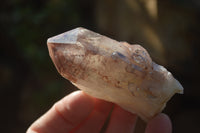 Natural Red Hematoid Quartz Specimens x 12 From Karoi, Zimbabwe - Toprock Gemstones and Minerals 