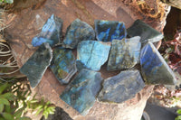 Polished One Side Polished Labradorite Slices  x 12 From Madagascar - Toprock Gemstones and Minerals 