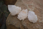 Natural Single White Cactus Quartz Crystals x 70 From Boekenhouthoek, South Africa - Toprock Gemstones and Minerals 