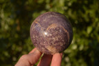 Polished Purple Lepidolite Spheres  x 6 From Madagascar - Toprock Gemstones and Minerals 