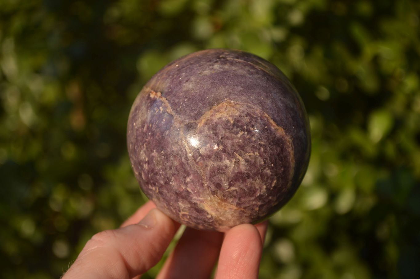 Polished Purple Lepidolite Spheres  x 6 From Madagascar - Toprock Gemstones and Minerals 