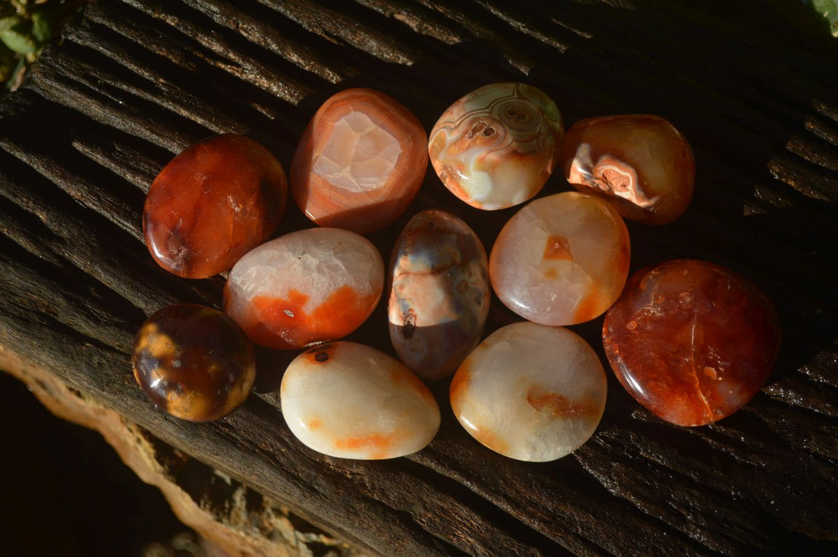 Polished Carnelian Agate Palm Stones  x 14 From Madagascar - Toprock Gemstones and Minerals 