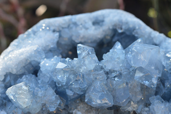 Natural Blue Celestite Geode Specimen With Gemmy Cubic Crystals  x 1 From Sakoany, Madagascar - TopRock