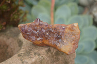 Natural Small Dark "Amethystos" Amethyst Clusters x 35 From Kwaggafontein, South Africa - TopRock