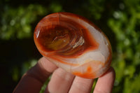 Polished Carnelian Agate Palm Stones  x 14 From Madagascar - Toprock Gemstones and Minerals 
