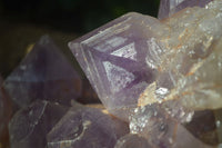 Natural Jacaranda Amethyst Cluster x 1 From Mumbwa, Zambia - TopRock