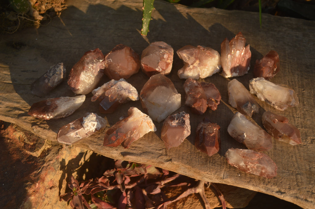 Natural Red Hematoid Quartz Specimens x 24 From Karoi, Zimbabwe - Toprock Gemstones and Minerals 