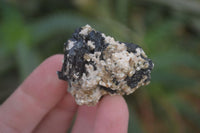 Natural Small Schorl Black Tourmaline Specimens x 70 From Erongo, Namibia - Toprock Gemstones and Minerals 
