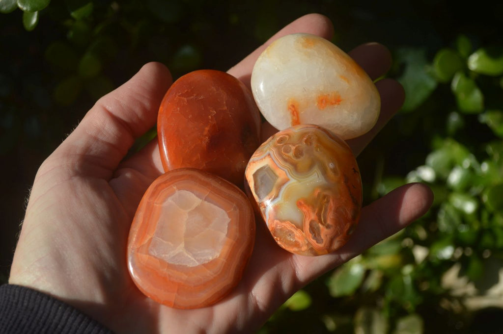 Polished Carnelian Agate Palm Stones  x 14 From Madagascar - Toprock Gemstones and Minerals 