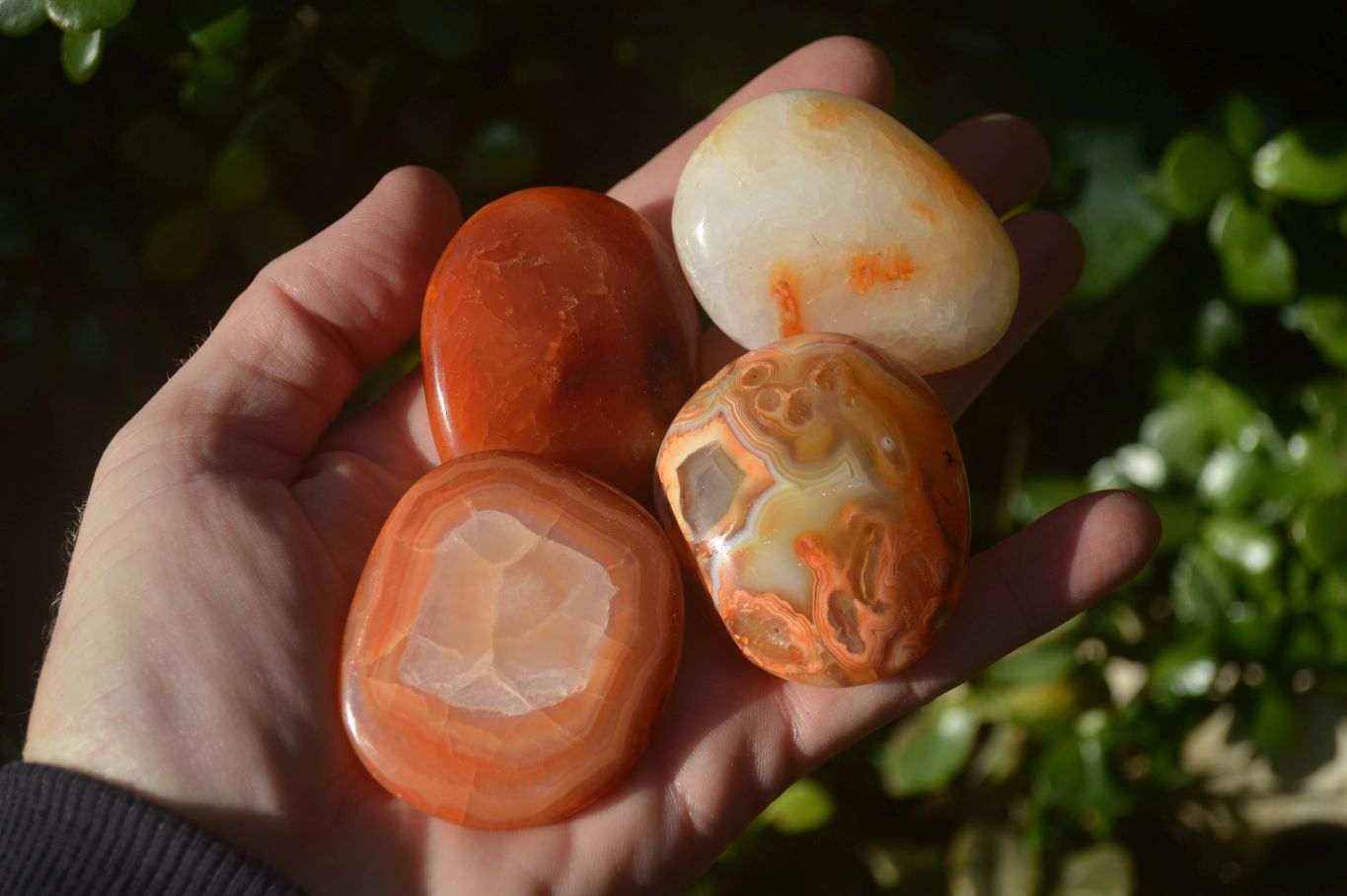 Polished Carnelian Agate Palm Stones  x 14 From Madagascar - Toprock Gemstones and Minerals 