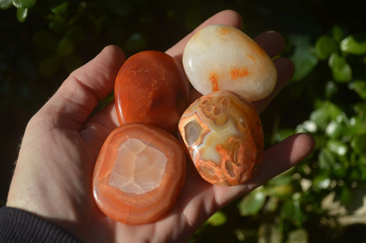 Polished Carnelian Agate Palm Stones  x 14 From Madagascar - Toprock Gemstones and Minerals 