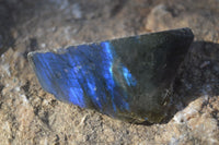 Polished One Side Polished Labradorite Slices  x 12 From Madagascar - Toprock Gemstones and Minerals 
