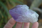 Natural Jacaranda Amethyst Single Crystal Specimens x 12 From Mumbwe, Zambia - Toprock Gemstones and Minerals 