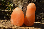 Polished Orange Twist Calcite Standing Free Forms  x 2 From Madagascar - TopRock