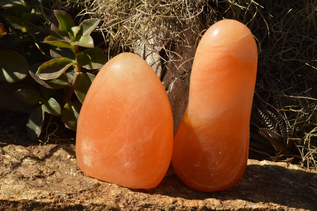 Polished Orange Twist Calcite Standing Free Forms  x 2 From Madagascar - TopRock
