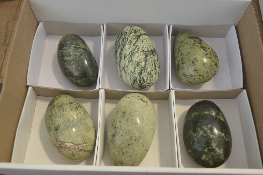 Polished Leopard Stone Free Forms  x 6 From Zimbabwe - Toprock Gemstones and Minerals 