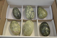 Polished Leopard Stone Free Forms  x 6 From Zimbabwe - Toprock Gemstones and Minerals 