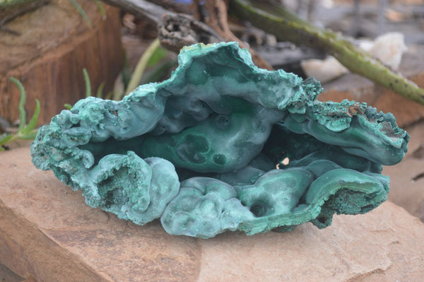 Natural Extra Large Chatoyant Silky Malachite Geode Specimen  x 1 From Kasompe, Congo - Toprock Gemstones and Minerals 