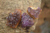 Natural Small Dark "Amethystos" Amethyst Clusters x 35 From Kwaggafontein, South Africa - TopRock