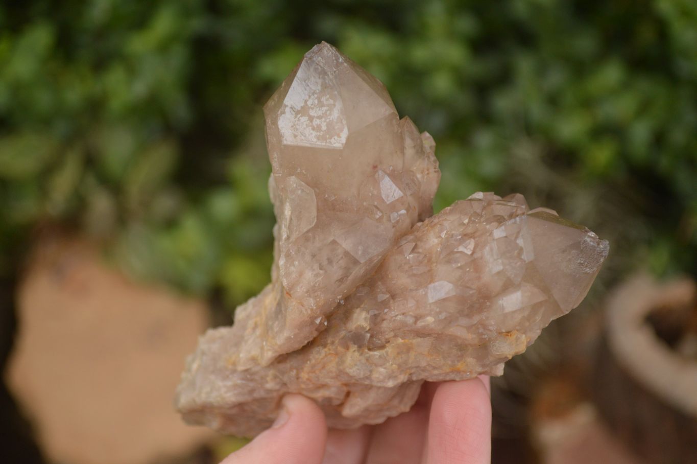 Natural Cascading Smokey Quartz Clusters x 3 From Luena, Congo - Toprock Gemstones and Minerals 
