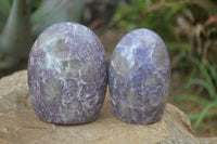 Polished Purple Lepidolite Standing Free Forms  x 6 From Madagascar - Toprock Gemstones and Minerals 
