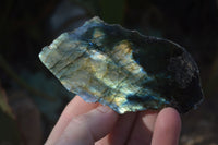 Polished One Side Polished Labradorite Slices  x 12 From Madagascar - Toprock Gemstones and Minerals 