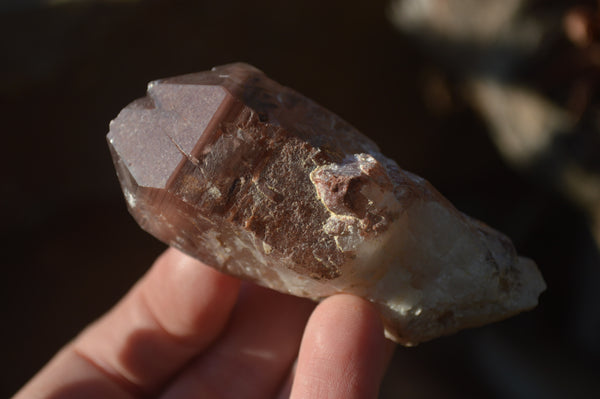 Natural Red Hematoid Quartz Specimens x 12 From Karoi, Zimbabwe - Toprock Gemstones and Minerals 