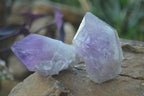 Natural Jacaranda Amethyst Single Crystal Specimens x 12 From Mumbwe, Zambia - Toprock Gemstones and Minerals 