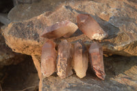 Natural Red Hematoid Quartz Specimens x 24 From Karoi, Zimbabwe - Toprock Gemstones and Minerals 