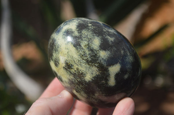 Polished Leopard Stone Eggs & Spheres  x 4 From Zimbabwe - TopRock