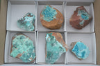 Natural Blue Drusy Chrysocolla Dolomite & Malachite Specimens  x 6 From Likasi, Congo - TopRock