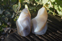Polished Lovely Selection Of Agate Flame Sculptures x 6 From Madagascar - Toprock Gemstones and Minerals 