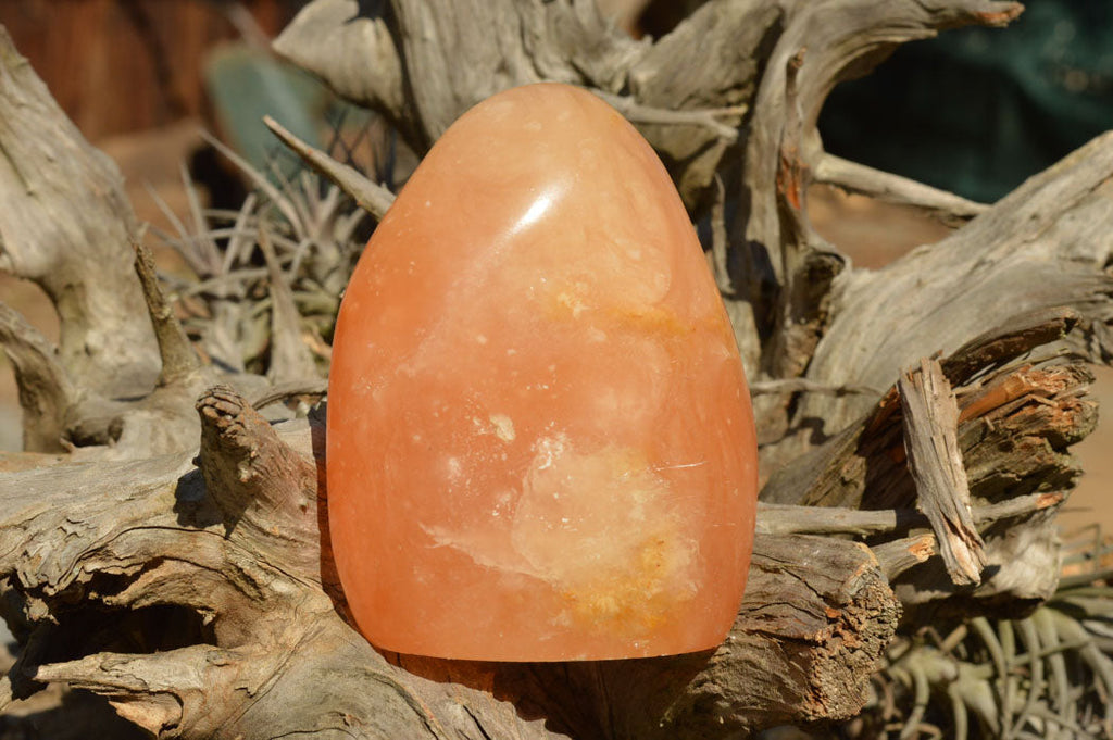 Polished Orange Twist Calcite Standing Free Forms  x 2 From Madagascar - TopRock