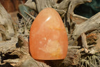 Polished Orange Twist Calcite Standing Free Forms  x 2 From Madagascar - TopRock