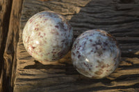 Polished Rubellite Pink Tourmaline Matrix Spheres x 2 From Madagascar - Toprock Gemstones and Minerals 