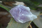 Natural Jacaranda Amethyst Single Crystal Specimens x 12 From Mumbwe, Zambia - Toprock Gemstones and Minerals 