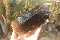 Polished  Large Morion Smokey Quartz Crystals  x 2 From Zimbabwe - Toprock Gemstones and Minerals 