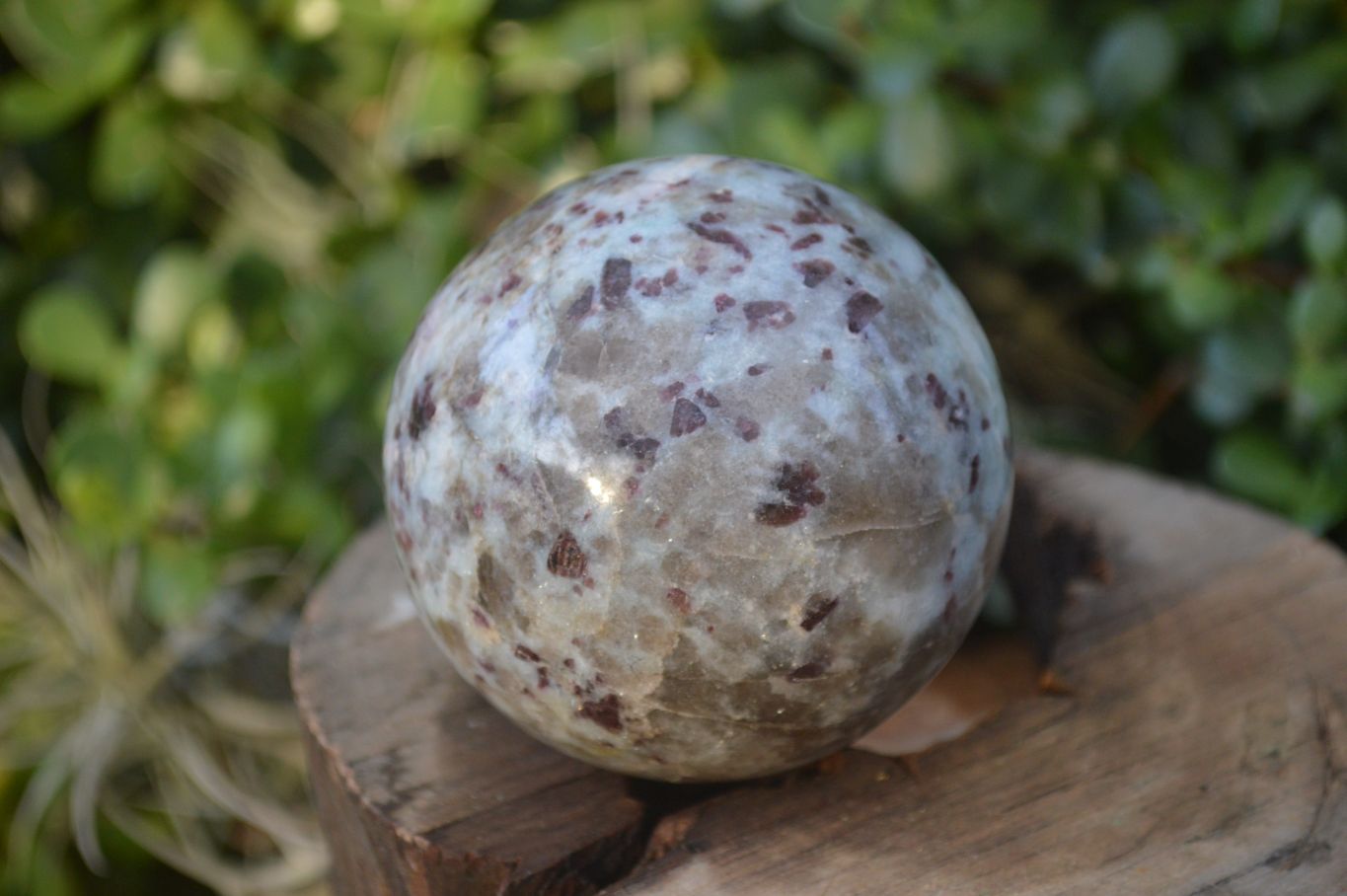 Polished Rubellite Pink Tourmaline Matrix Spheres x 2 From Madagascar - Toprock Gemstones and Minerals 