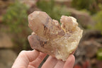Natural Red Hematoid Phantom Quartz Crystals  x 4 From Karoi, Zimbabwe - TopRock