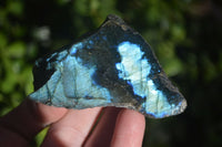 Polished One Side Polished Labradorite Slices  x 12 From Madagascar - Toprock Gemstones and Minerals 