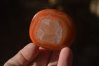 Polished Carnelian Agate Palm Stones  x 14 From Madagascar - Toprock Gemstones and Minerals 
