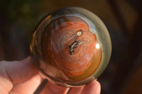 Polished  Polychrome / Picasso Jasper Spheres  x 3 From Madagascar - Toprock Gemstones and Minerals 
